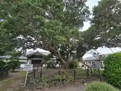 蓮着寺(静岡県)