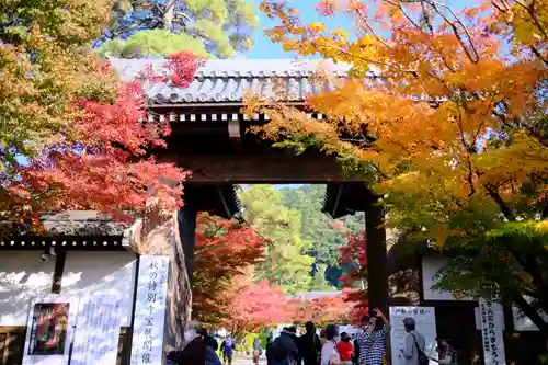 禅林寺（永観堂）の山門