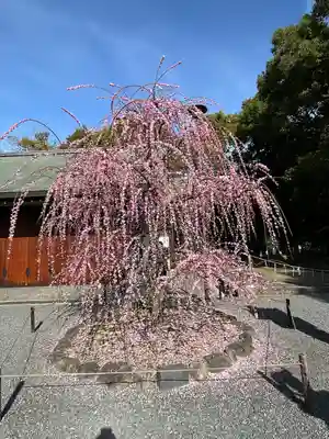 城南宮(京都府)