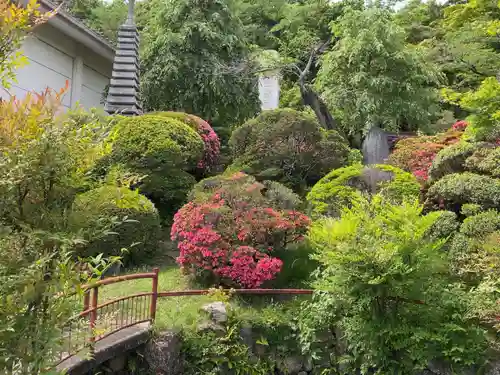 大光普照寺の庭園