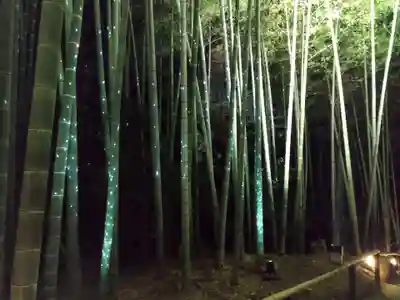 高台寺（高台寿聖禅寺・高臺寺）(京都府)