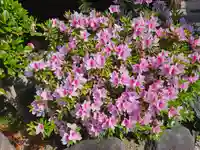 津観音(三重県)