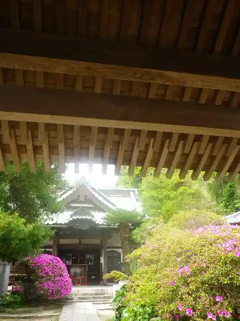 安養院 (田代寺)の庭園