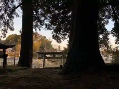 海保神社(千葉県)