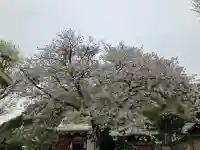 元町厳島神社の{uncategorized: "未分類", other: "その他", undefined: "問題あり", building: "その他建物", grave: "お墓", sacred_gate: "鳥居", guardian: "狛犬", statue: "像", buddha: "仏像", history: "歴史", nature: "自然", garden: "庭園", animal: "動物", pagoda: "塔", temizu: "手水舎", mountain_gate: "山門・神門", sanctuary: "本殿・本堂", subordinate: "末社・摂社", art: "芸術", scenery: "景色", jizo: "地蔵", ema: "絵馬", goshuin: "御朱印", omikuji: "おみくじ", items: "授与品その他", amulet: "お守り", goshuincho: "御朱印帳", eats: "食事", festival: "お祭り", votive_dance: "神楽", shichigosan: "七五三参", wedding: "結婚式", experience: "体験その他", initially: "初詣", around: "周辺", anti_infection: "感染症対策"}