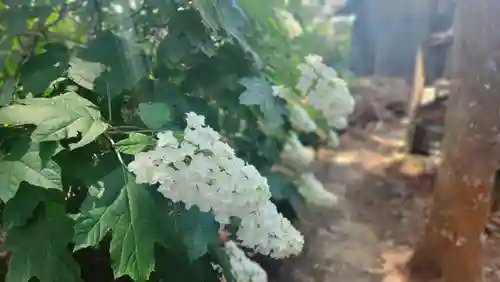 山神社(宮城県)