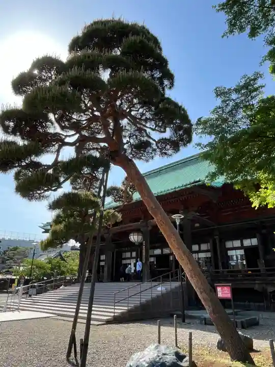 護国寺(東京都)