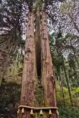 御岩神社の自然