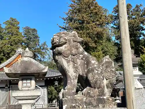 八幡神社の狛犬