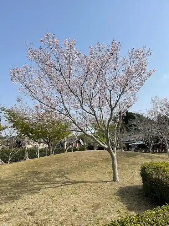 桜ヶ池池宮神社(静岡県)
