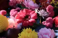 豊景神社の手水舎