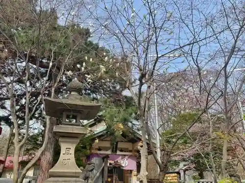 彌彦神社　(伊夜日子神社)の自然