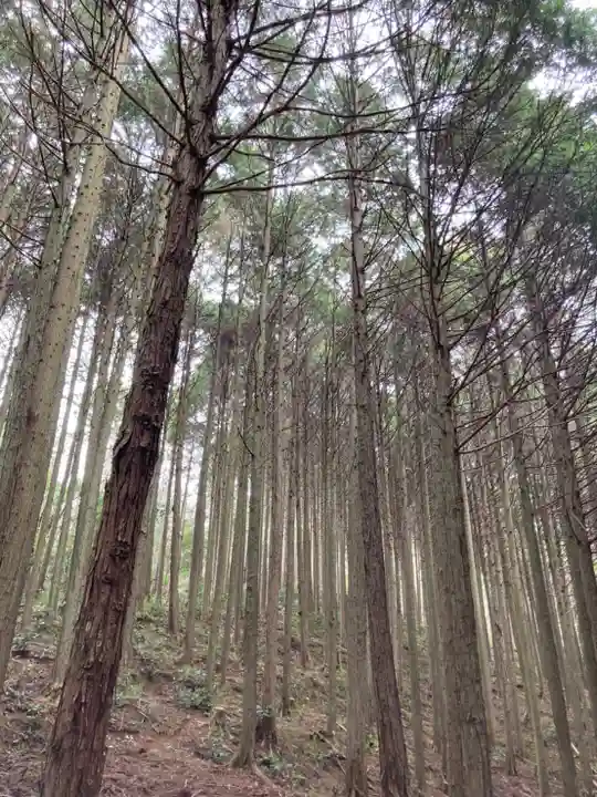 河上神社の周辺