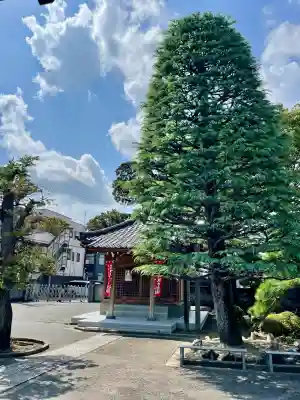 泉沢寺(神奈川県)