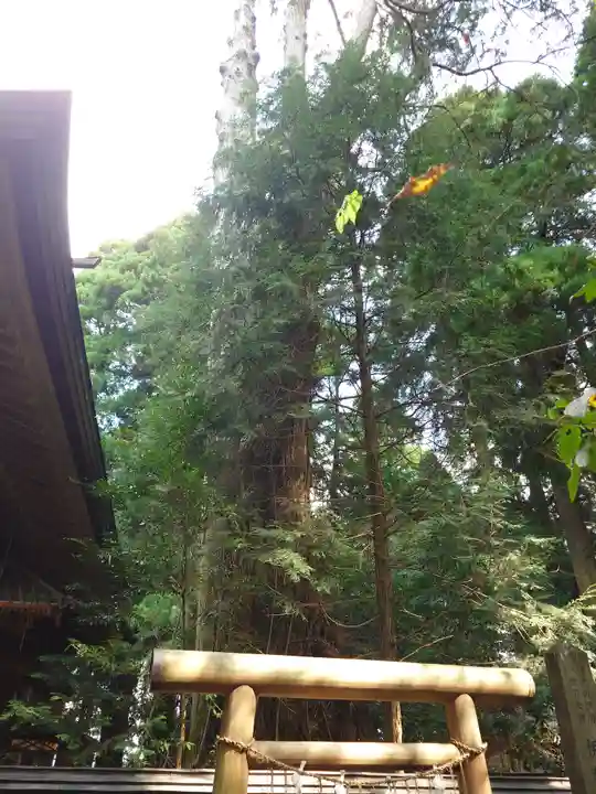 幣立神宮(熊本県)