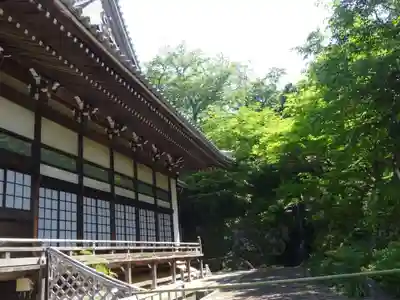 妙蓮寺のその他建物