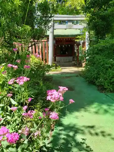 鷺宮八幡神社の自然