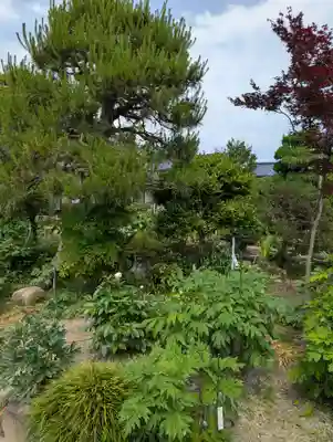 清眼寺(岡山県)