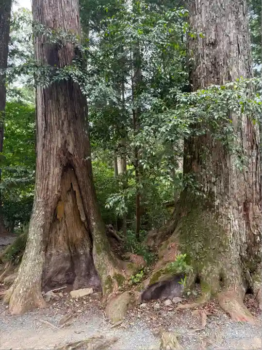 小國神社(静岡県)