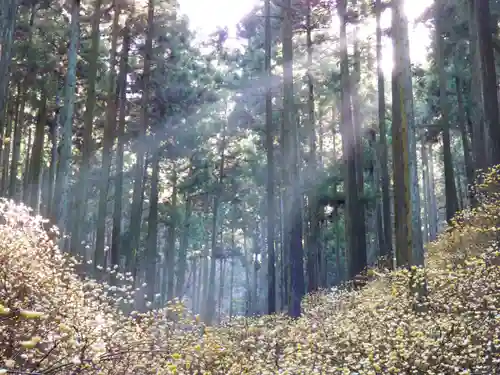 焼森山雷神神社の景色