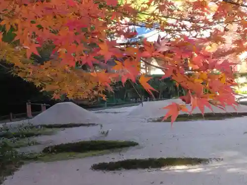 明月院(神奈川県)