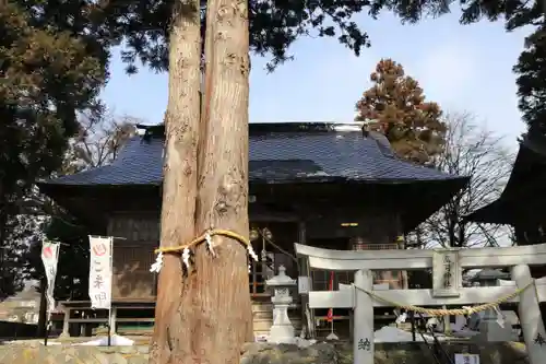 高司神社〜むすびの神の鎮まる社〜の本殿・本堂