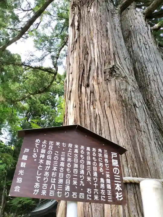 戸隠神社中社(長野県)