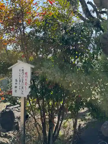 島田神社の{uncategorized: "未分類", other: "その他", undefined: "問題あり", building: "その他建物", grave: "お墓", sacred_gate: "鳥居", guardian: "狛犬", statue: "像", buddha: "仏像", history: "歴史", nature: "自然", garden: "庭園", animal: "動物", pagoda: "塔", temizu: "手水舎", mountain_gate: "山門・神門", sanctuary: "本殿・本堂", subordinate: "末社・摂社", art: "芸術", scenery: "景色", jizo: "地蔵", ema: "絵馬", goshuin: "御朱印", omikuji: "おみくじ", items: "授与品その他", amulet: "お守り", goshuincho: "御朱印帳", eats: "食事", festival: "お祭り", votive_dance: "神楽", shichigosan: "七五三参", wedding: "結婚式", experience: "体験その他", initially: "初詣", around: "周辺", anti_infection: "感染症対策"}