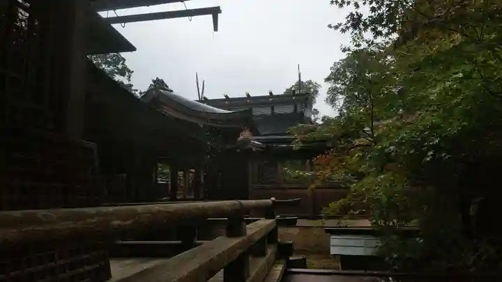 出石神社(兵庫県)