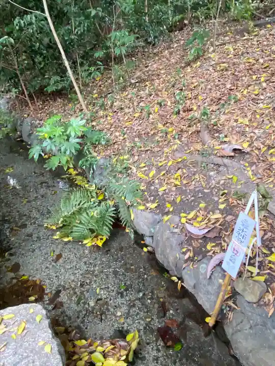 賀茂御祖神社(下鴨神社)の庭園