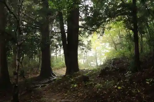 鹿島大神宮の自然