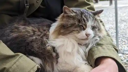 梅宮大社(京都府)