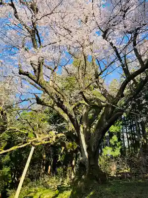 風巻神社奥社(新潟県)