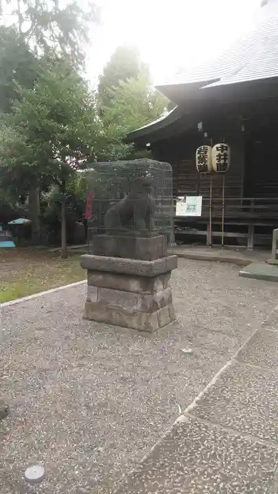 御霊神社の狛犬