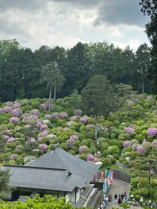 塩船観音寺(東京都)