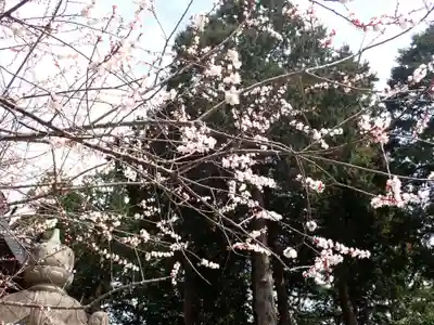 冨士御室浅間神社(山梨県)