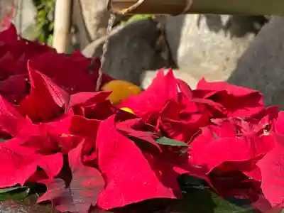 差出磯大嶽山神社 仕事と健康と厄よけの神さまの手水舎