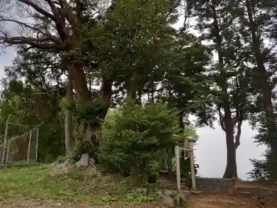 高草山大権現のその他建物