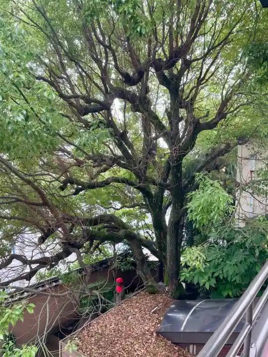 羅漢寺(東京都)