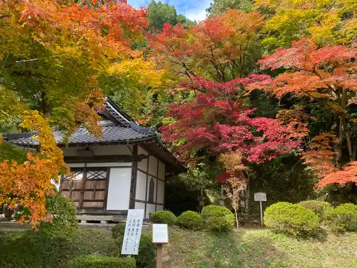 安国寺(京都府)