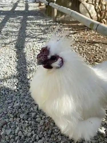 高屋敷稲荷神社(福島県)
