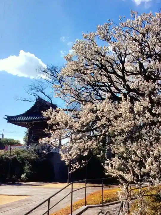 福蔵院(東京都)