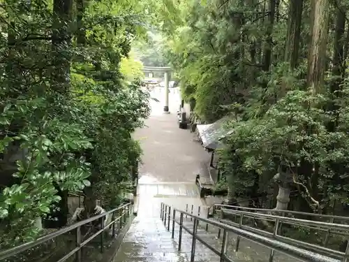 宝登山神社の自然
