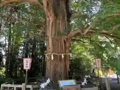 水戸八幡宮(茨城県)