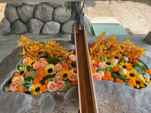 都波岐奈加等神社の手水舎