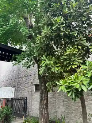 甘酒稲荷神社の{uncategorized: "未分類", other: "その他", undefined: "問題あり", building: "その他建物", grave: "お墓", sacred_gate: "鳥居", guardian: "狛犬", statue: "像", buddha: "仏像", history: "歴史", nature: "自然", garden: "庭園", animal: "動物", pagoda: "塔", temizu: "手水舎", mountain_gate: "山門・神門", sanctuary: "本殿・本堂", subordinate: "末社・摂社", art: "芸術", scenery: "景色", jizo: "地蔵", ema: "絵馬", goshuin: "御朱印", omikuji: "おみくじ", items: "授与品その他", amulet: "お守り", goshuincho: "御朱印帳", eats: "食事", festival: "お祭り", votive_dance: "神楽", shichigosan: "七五三参", wedding: "結婚式", experience: "体験その他", initially: "初詣", around: "周辺", anti_infection: "感染症対策"}