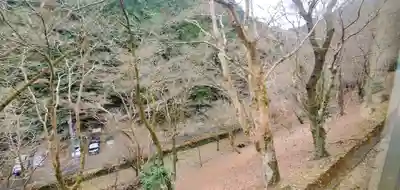 高尾山薬王院の周辺