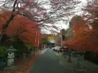 金生山 明星輪寺のその他建物