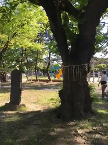 胡録神社の自然