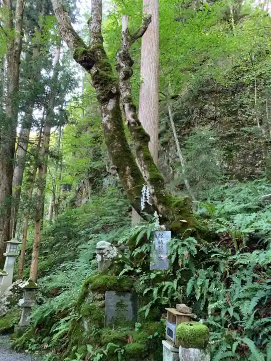 桜松神社(岩手県)